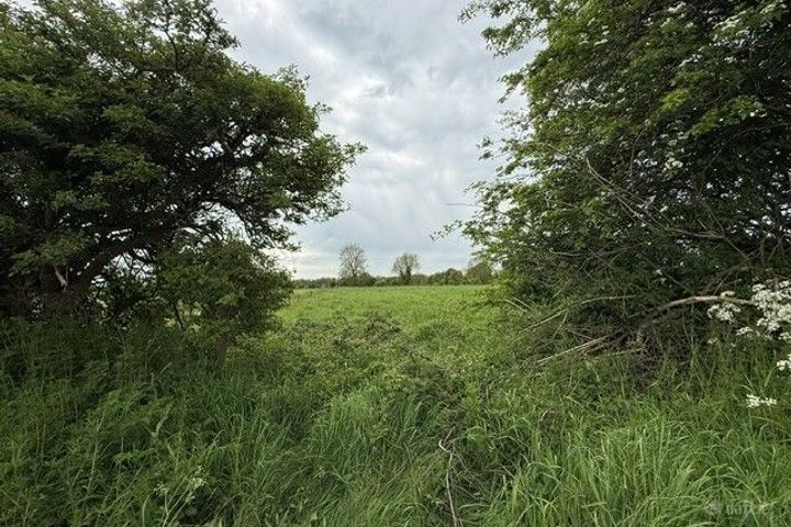 Ardanreagh, Holycross, Co Limerick, Holycross, Co. Limerick