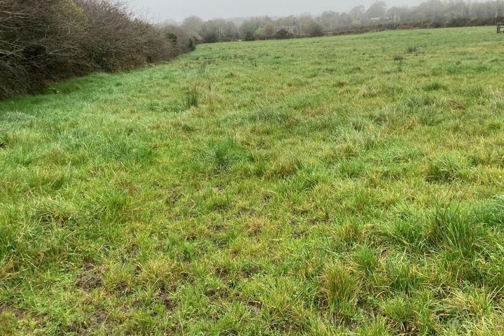 Mountdelvin, Dunmore, Co. Galway