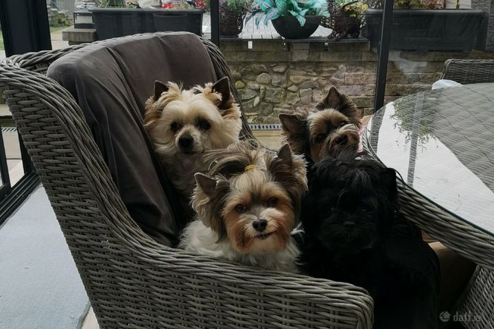 77 Rockview, Deerpark Road, Cashel, Cashel, Co. Tipperary