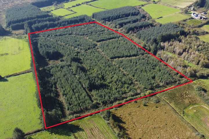 Tureenduve, Ballydesmond, Co. Cork