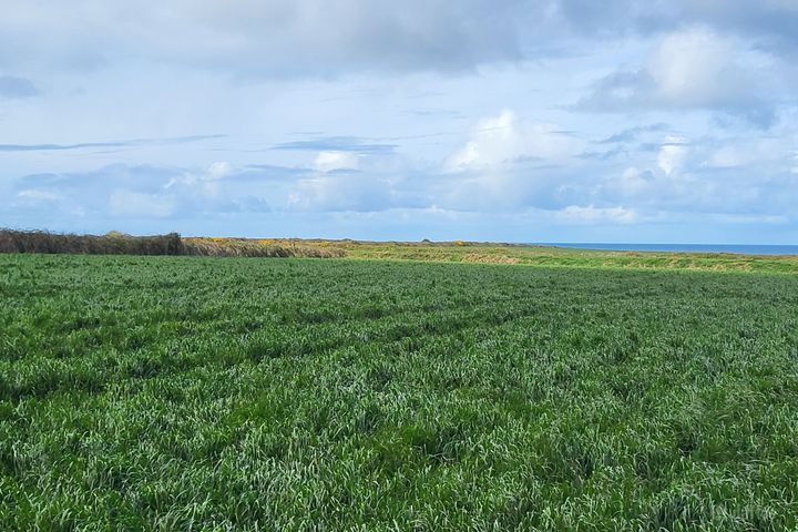 Drumnacurra, Causeway, Co. Kerry