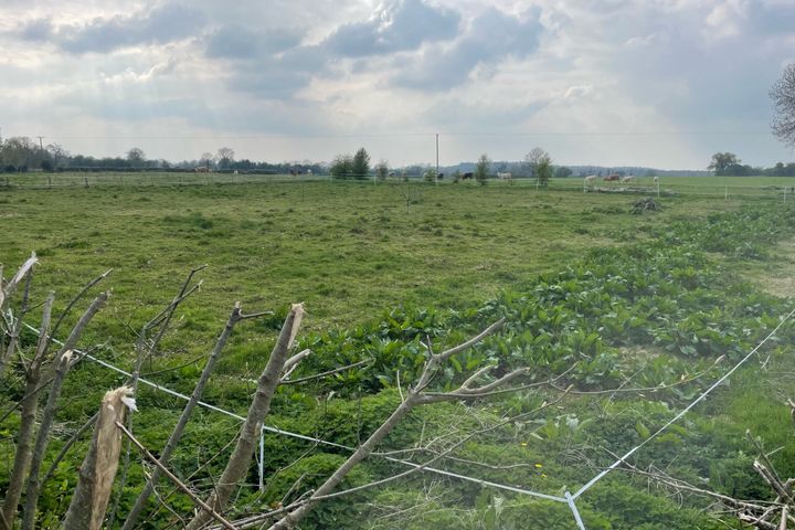 Ballindoolin, Edenderry