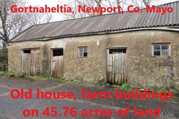 Gortnaheltia, Newport,Co. Mayo, Newport, Co. Mayo