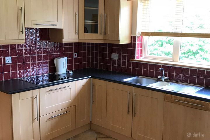 Bluebell Woods, Oranmore, Co. Galway