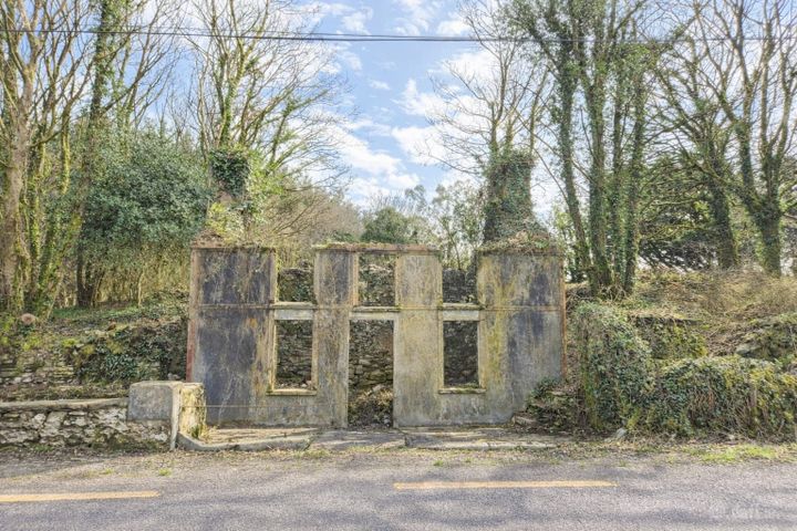 Derrynagree, Drimoleague, Drimoleague, Co. Cork, P47CK29