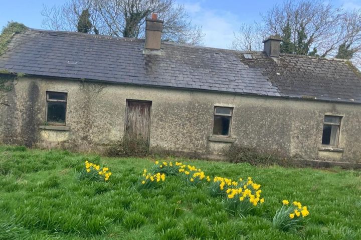 Mulderricksfield, Askeaton, Foynes, Co. Limerick, V94W3P8