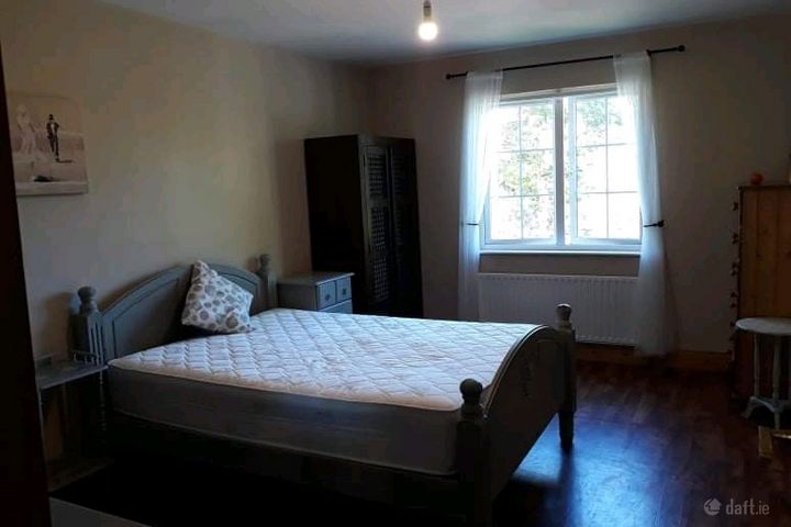 Knocksedan Wood, Swords, Co. Dublin