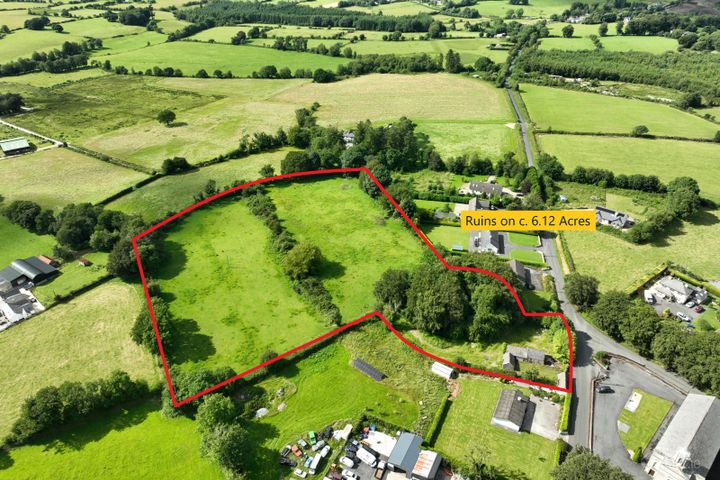 Ruins on C. 6.12 Acres / 2.48 Hectares, Killmoat upper, Rathdangan, Co. Wicklow