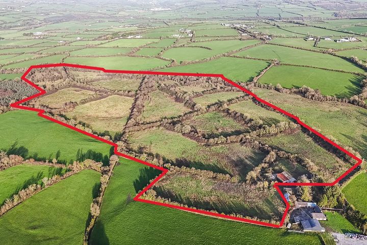 c. 23.33 hectares at Muckalee, Ballyfoyle, Co. Kilkenny, R95HT63
