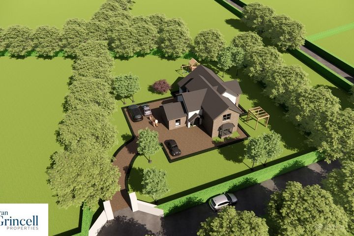 Rahelty, Rathmoyle, Co. Kilkenny - Photo 3