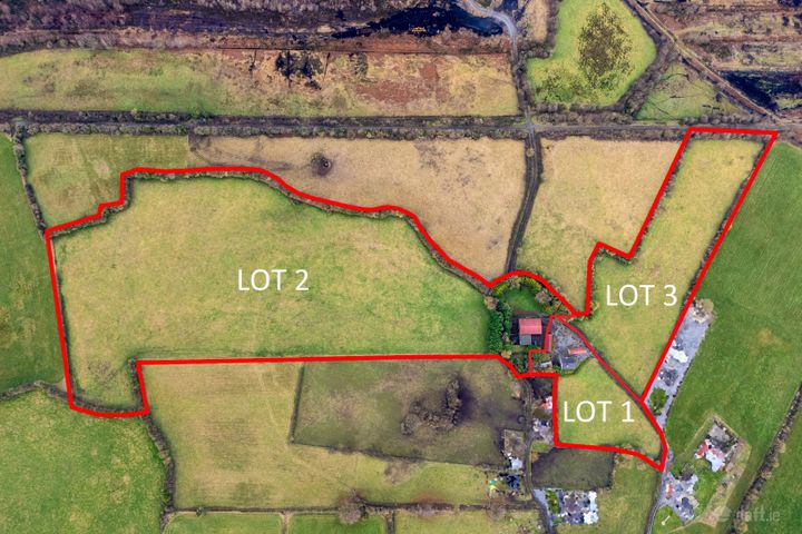 Lot 2 (c. 14 Acres), Lemanaghan, Ballycumber, Co. Offaly