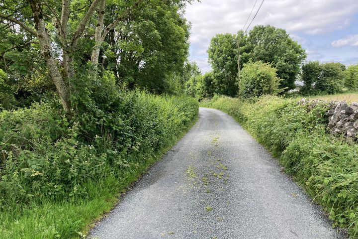 Cregmore, Claregalway, Co. Galway - Photo 3