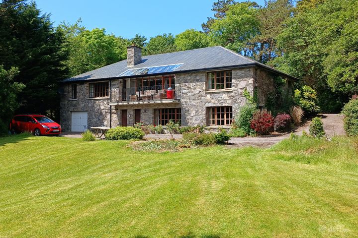 Natterjack, Caragh Lake, Killorglin, Co. Kerry, V93A094