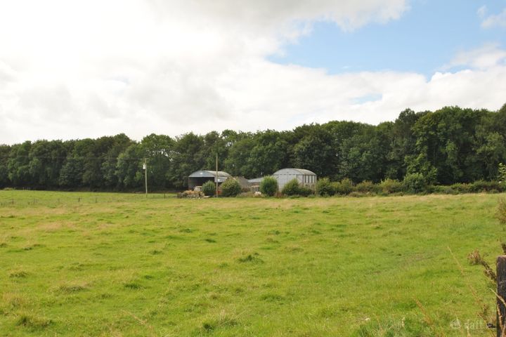Approx. 7.55 Hectares/ 18.67, Sopwell Lands, Cloughjordan, Co. Tipperary