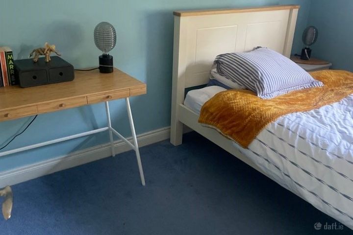 Avoca Wood, Avoca, Co. Wicklow