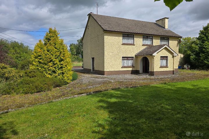 Cloonyeffer, Elphin, Co. Roscommon, F45AK64