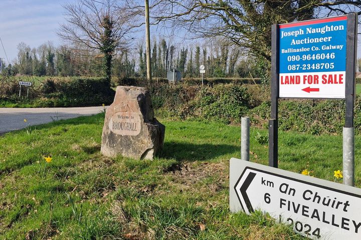 Drinagh Broughal Kilcormac Co Offaly, Broughal, Co. Offaly