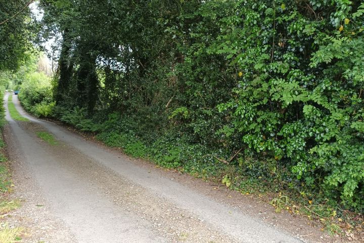 Kilmacoo, Avoca, Co. Wicklow