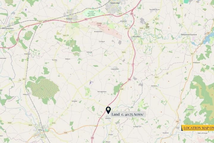 Land C. 40.75 Acres, Crookstown East, Ballitore, Co. Kildare - View 6