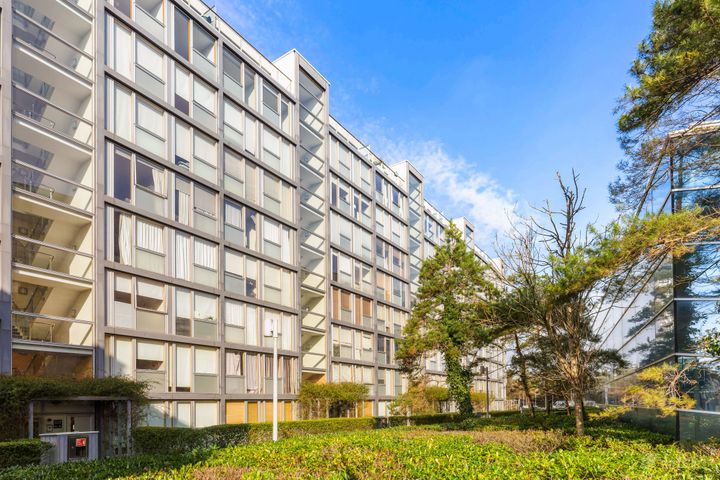 169 The Links, Elmpark, Dublin 4, D04DE08