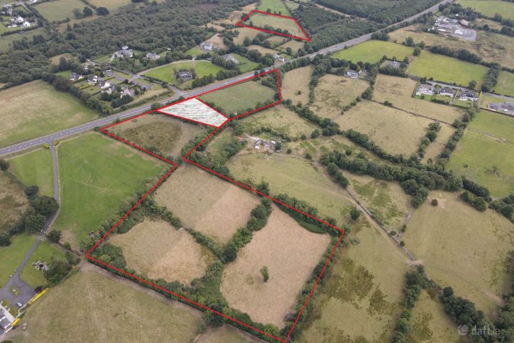 8.42 Hectares CN3639, Lisduff, Virginia, Co. Cavan