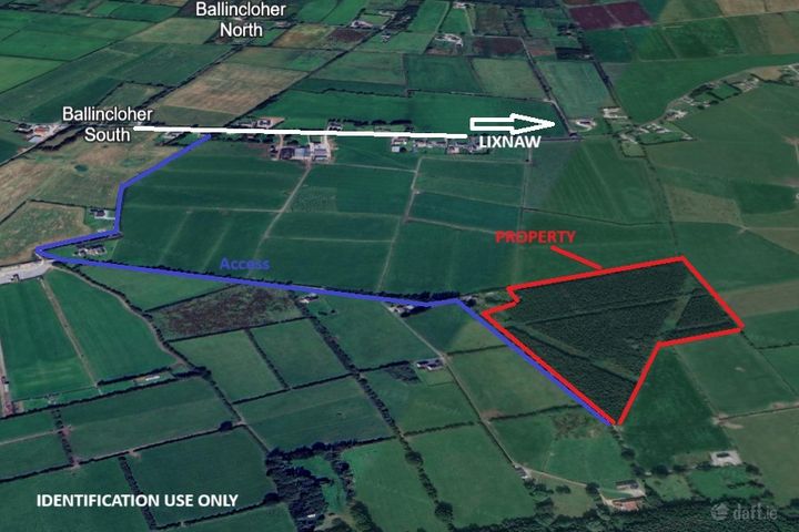 15 Acres/6.1 Ha Forestry Plantation at Gortadrislig, Lixnaw, Co. Kerry