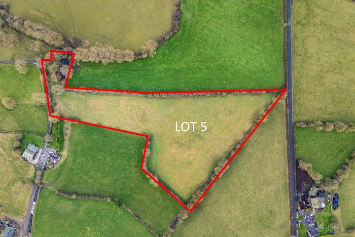 Lot 5 (c. 6.32 Acres), Lemanaghan, Ballycumber, Co. Offaly