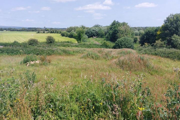 Knockanina, Mountrath, Co. Laois