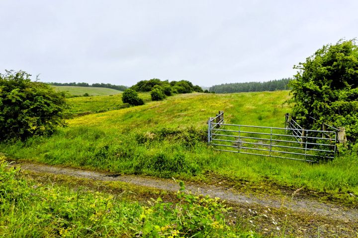 Liscottle, Swinford, Co. Mayo