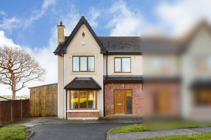 11 Old Forest, Bunclody, Wexford, Y21RK12