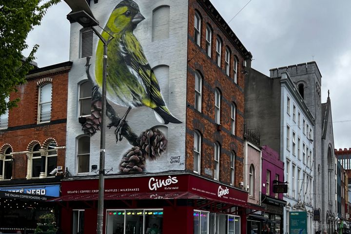 20 O'Connell Street, Limerick, Limerick City Centre, V94H9Y2