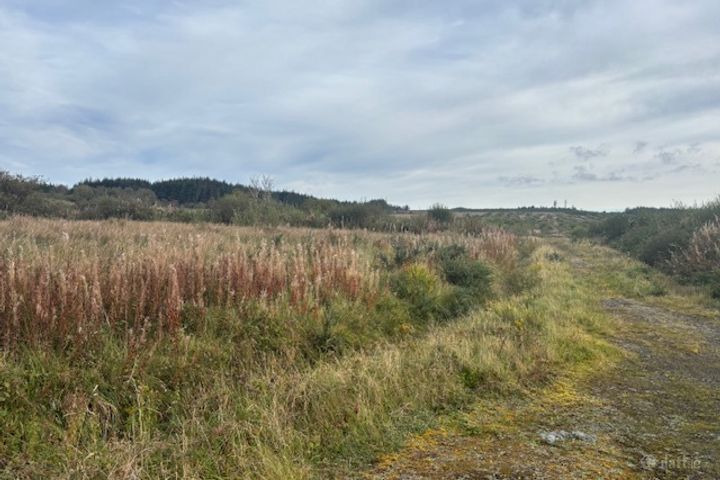 Glann West, Charlestown, Co. Mayo