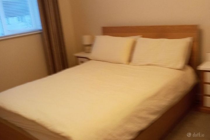 Drummartin Link, Sandyford, Dublin 18