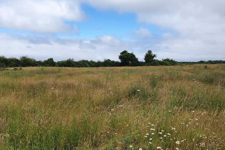 Morenane, Kilcornan, Askeaton, Co. Limerick