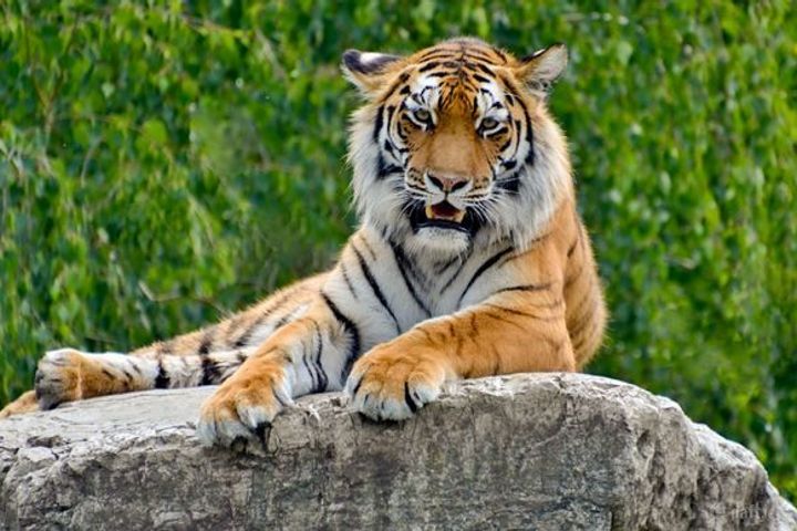 Testing 112233, Finglas, Dublin 11, D11A4CX