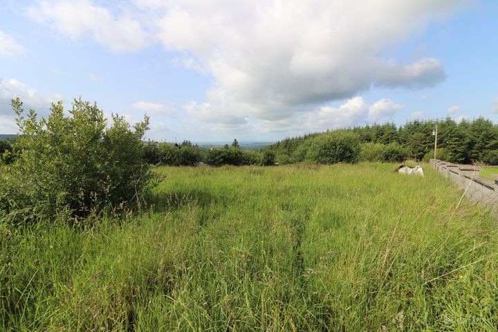 Cooleycasey, Sixmilebridge, Co. Clare, V95N296