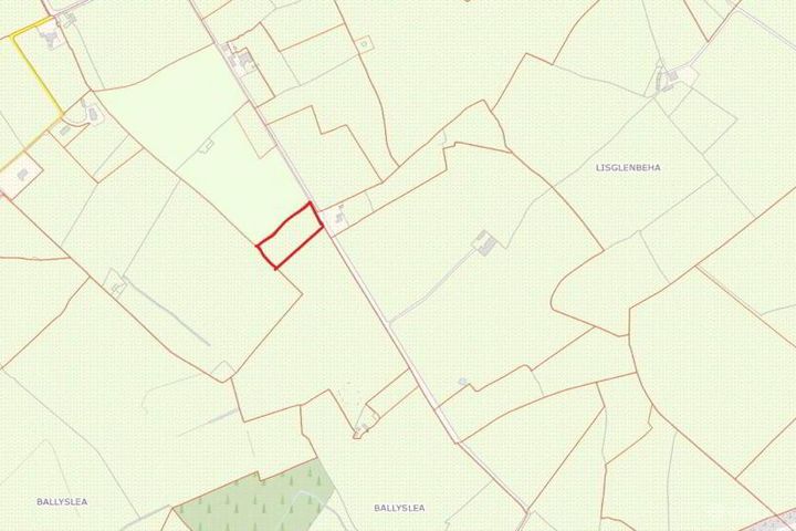 C. 1 Acre (0, 40 Hectares) Site, Roscrea, Co. Tipperary