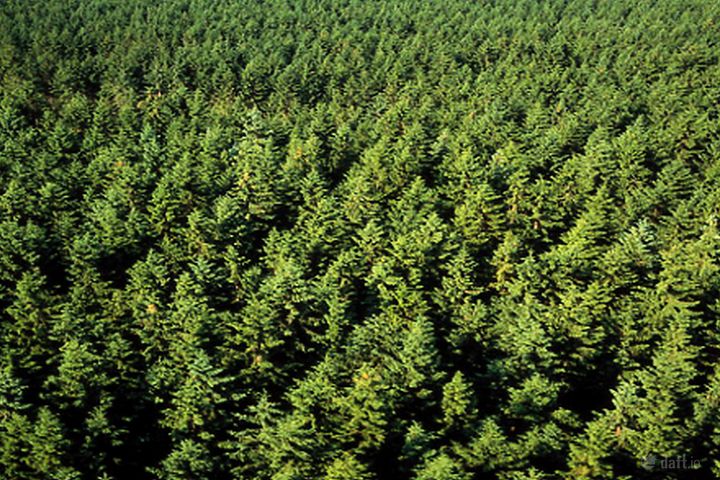 Monkstown, Coole, Co. Westmeath