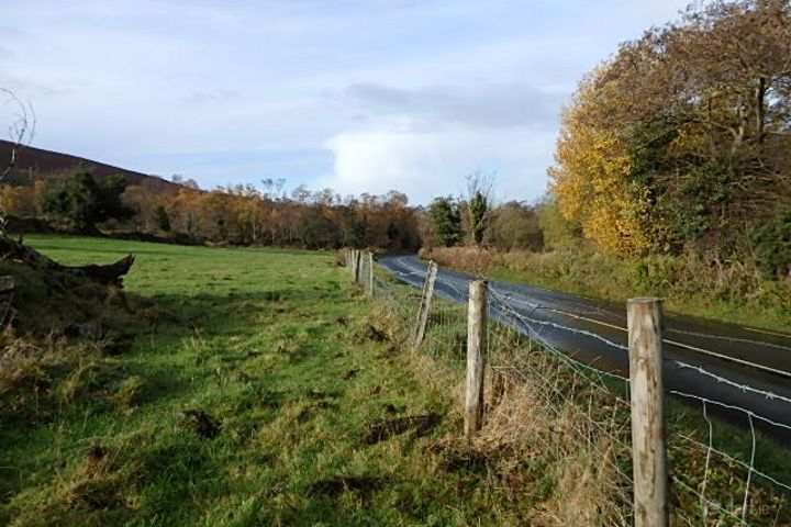Site, Coonogue, Borris, Carlow
