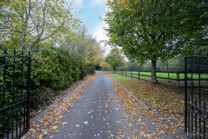 Fiddlers Brook, Ballycraheen, Vicarstown, Cork