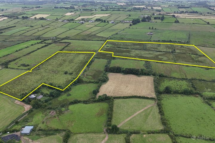 LOT 2 -  c.42.14 Acres of Prime Roadside Agricultural land, Castlerea, Co. Roscommon, F45HT65