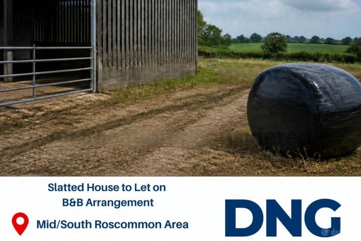 Slatted House To Let On A B&B Arrangement, Roscommon, Co. Roscommon