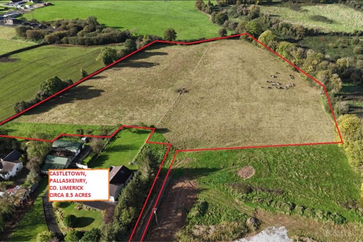 Castletown, Pallaskenry, Co. Limerick