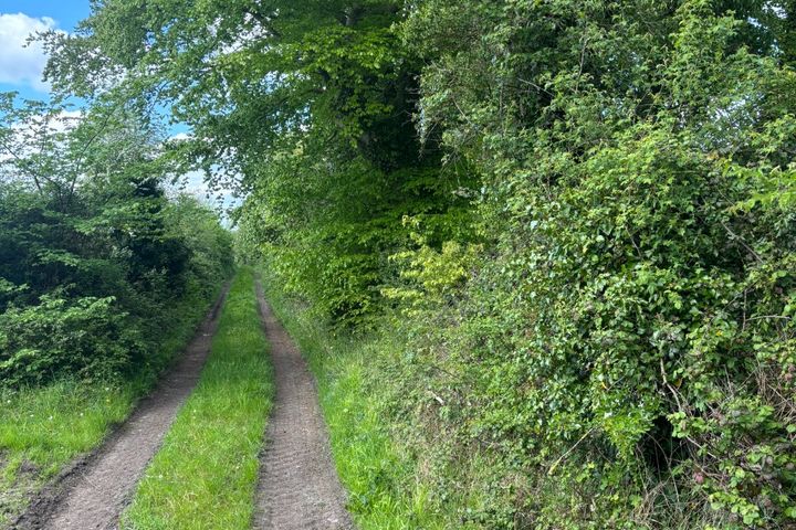 Scarry, Kilcormac, Co. Offaly - View 3
