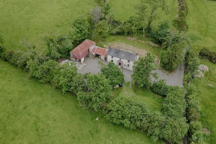 Derelict House On C.14 Acres, Lisagoan, Kingscourt, Co. Cavan