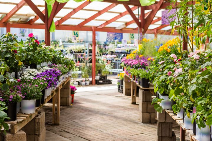 Frascati Centre, Blackrock, Co. Dublin