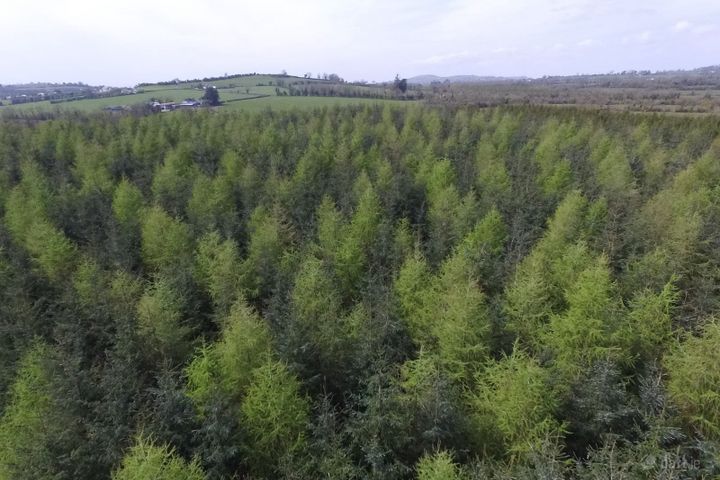 Derragh, Kilkelly, Co. Mayo