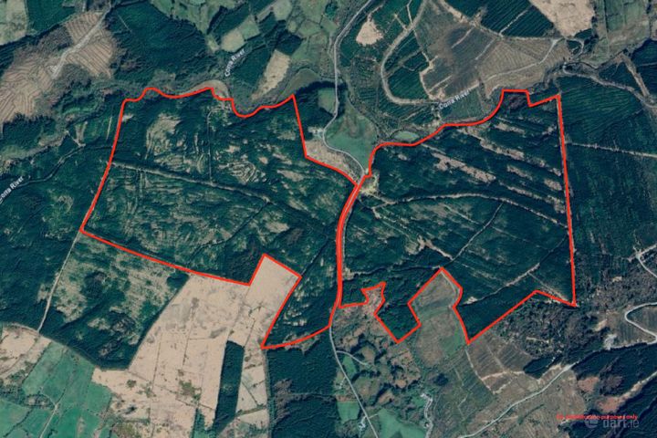 351 Acres of Forestry Land Gortaderra, County Clare, Scarriff, Co. Clare