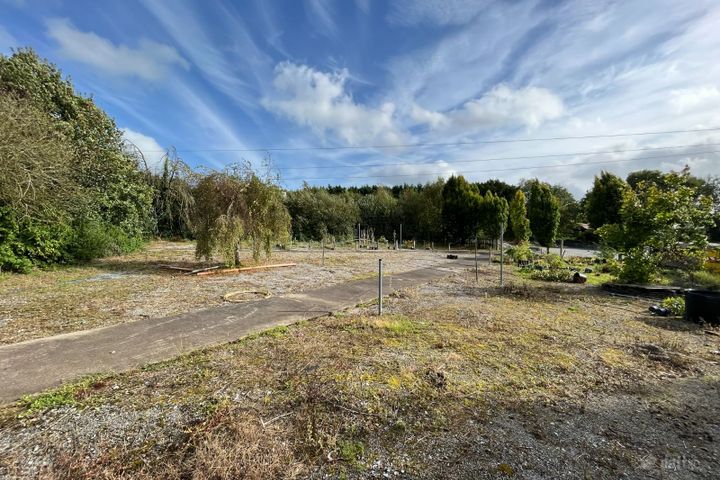 Ashfort, Crecora, Derryknockane, Co. Limerick