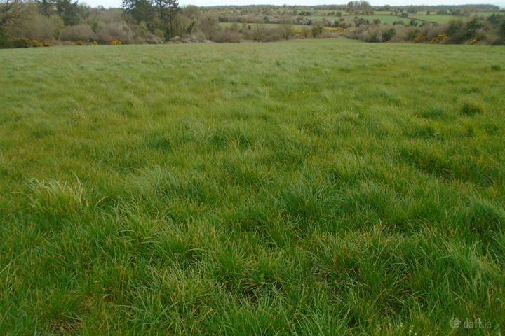 Boolyglass Hugginstown Co Kilkenny, Hugginstown, Co. Kilkenny